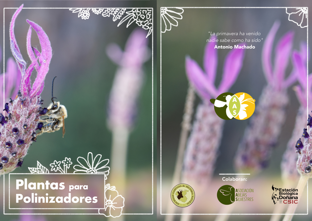 Portada: Nerea Montes Pérez, Foto: Curro Molina